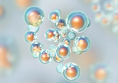 Smarter Sample Prep for Improved Single-Cell Sequencing